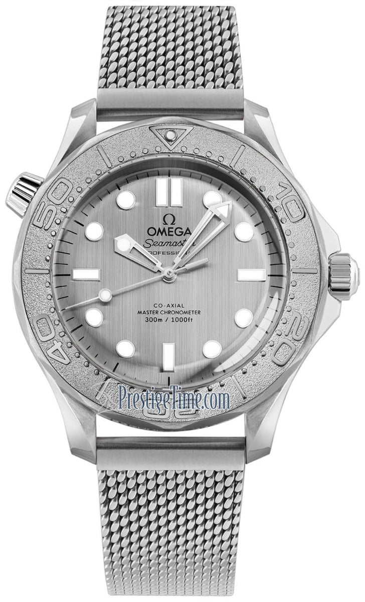 Omega Seamaster Diver 300M Ref. O21030422006002 - ON10360